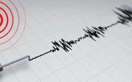 7.4 Magnitude Earthquake Hits Northeast Japan, Tsunami Warning Issued