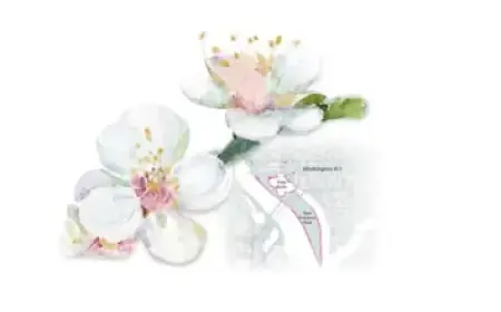 Is SoundHound AI the Top AI Stock for Maximum Growth?