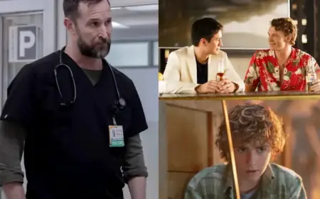 Noah Wyle, Chappell Roan, and the Surge of Toxic Fandoms