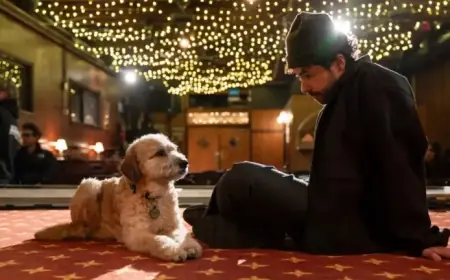 Ramy Youssef Creates Captivating ‘In Love’ Special for HBO