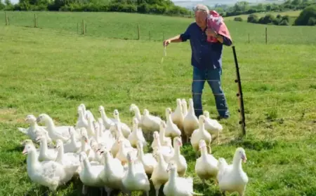 ‘Clarkson’s Farm’ Announces Season 5 Premiere Date