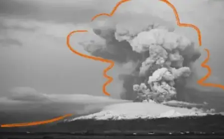 Mercedes C-Class Electric vs BMW i3: Which Executive EV Excels on Paper?