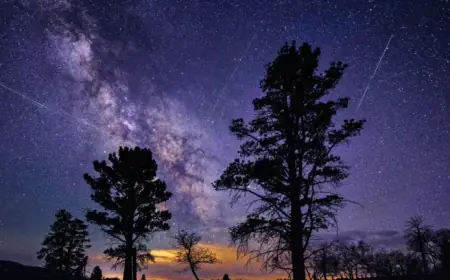 Lyrid Meteor Shower 2026: Viewing Guide for Date, Location, and Tips