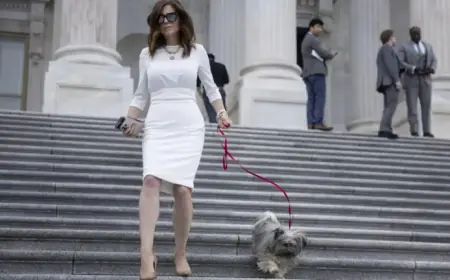 Cory Mills Considers Expulsion Resolution Against Nancy Mace