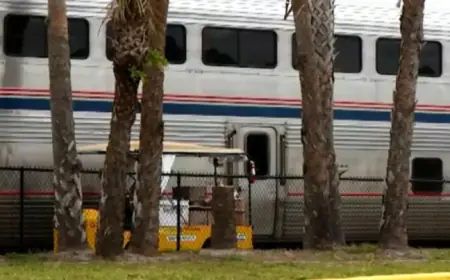 Florida Wildfire Delays Amtrak Passengers Over 24 Hours