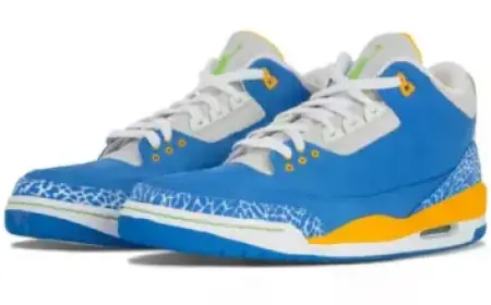 Cavaliers Coach, Star Prevent Game 1 Ejection Scare