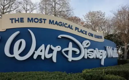 Disney Park Guests Enjoy Rare Price Drop on Key Attraction
