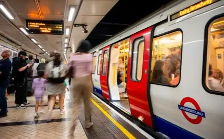 Emergency Response to Track Incident Disrupts Tube Service – Live Updates