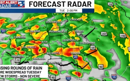 Midweek Forecast: Expect Persistent Rain and Overcast Skies