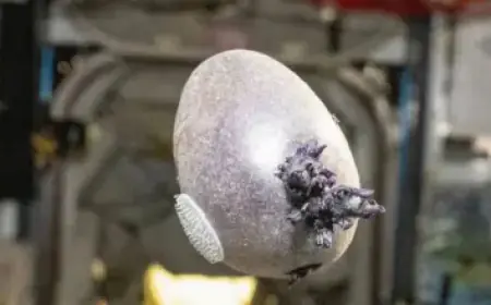 F1 2026 Rule Changes: Responding to Driver Criticism, Will They Impact Racing?