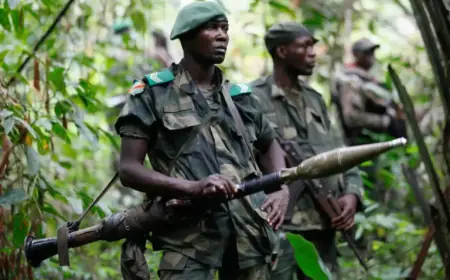 Ugandan, Congolese Forces Rescue 200 from ISIL-Linked ADF