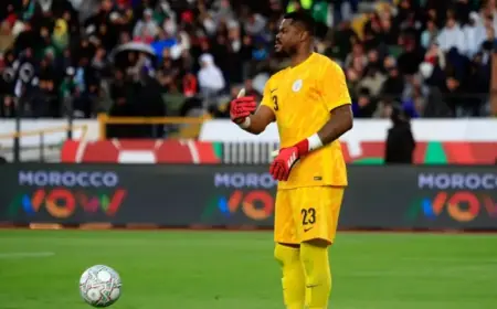 African Giants Target Super Eagles Goalkeeper Stanley Nwabali