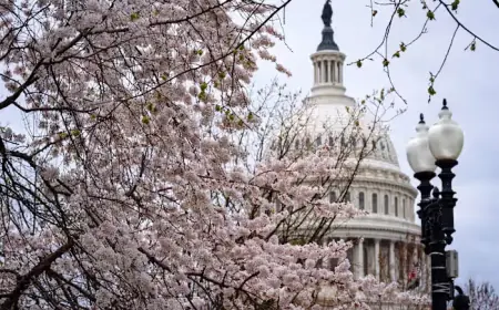 Republicans Launch Initiative to Fund Homeland Security Department