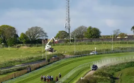 Racecourse Season Postponed Again Due to Larvae-Damaged Track