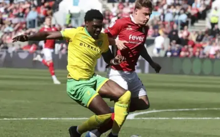 Norwich City Analyzes Ben Lee’s Tactics in Bristol City Victory