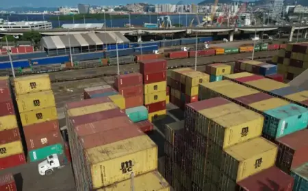 UPS, FedEx, DHL Seek Tariff Refunds: Impact on Consumers Explained