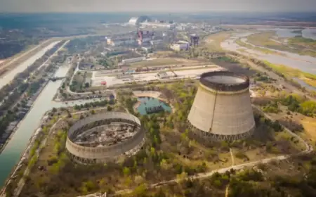 New Threat Overshadows Radiation at Chernobyl