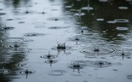 Thunderstorms This Tuesday May Surpass Next Winter’s El Niño Impact