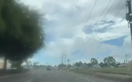 NWS Issues Tornado Warning for Fresno and Madera Counties Until 3 p.m.