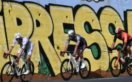 Theoretical Physicist Warns Humanity Unlikely to Survive for Unified Forces