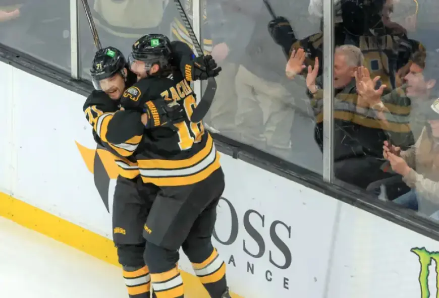 Boston Bruins Preview: Can They Sustain Their Winning Momentum?