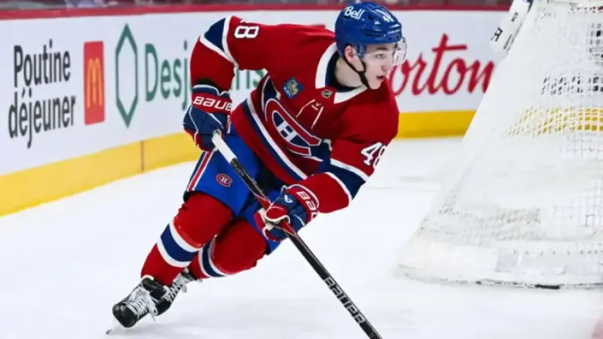 Canadiens vs Lightning: Tonight’s NHL Game Prediction, Picks & Odds