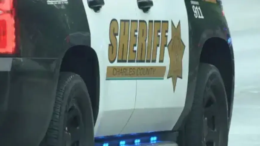 Phillies Reliever Sets Team Record with First ABS Challenge