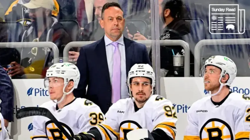 Exploring Sturm’s Impact: A Year Leading the Bruins’ Bench