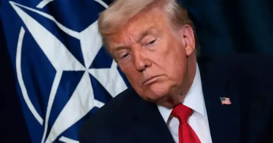 Trump Considers Withdrawing from NATO