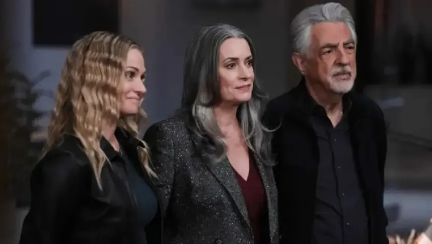 Paramount+ Renews ‘Criminal Minds: Evolution’; Connor Storrie Joins Next Season