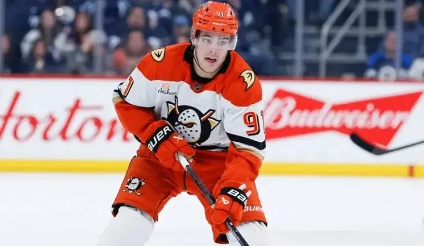 NHL Game Prediction, Picks & Odds: Ducks vs Sharks Tonight