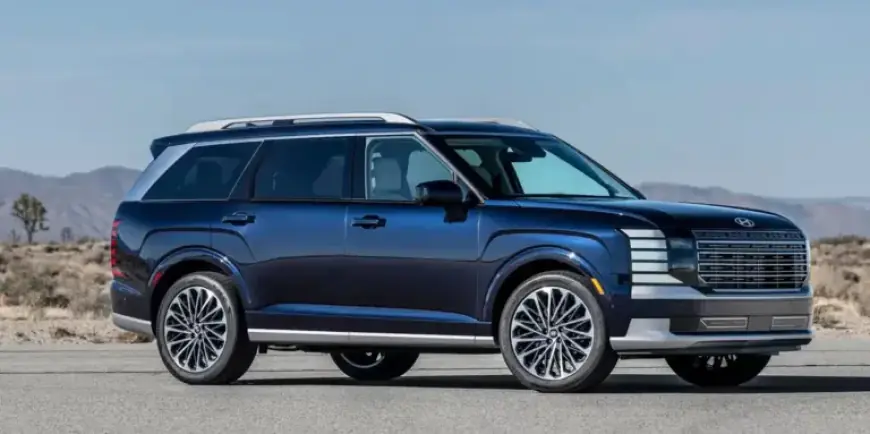 Hyundai Faces Lawsuit Months Before Toddler’s Death Spurs Palisade Recall