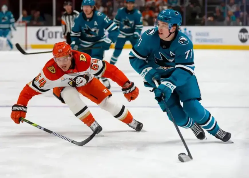 Macklin Celebrini Sparks Dramatic Comeback as Sharks Defeat Ducks