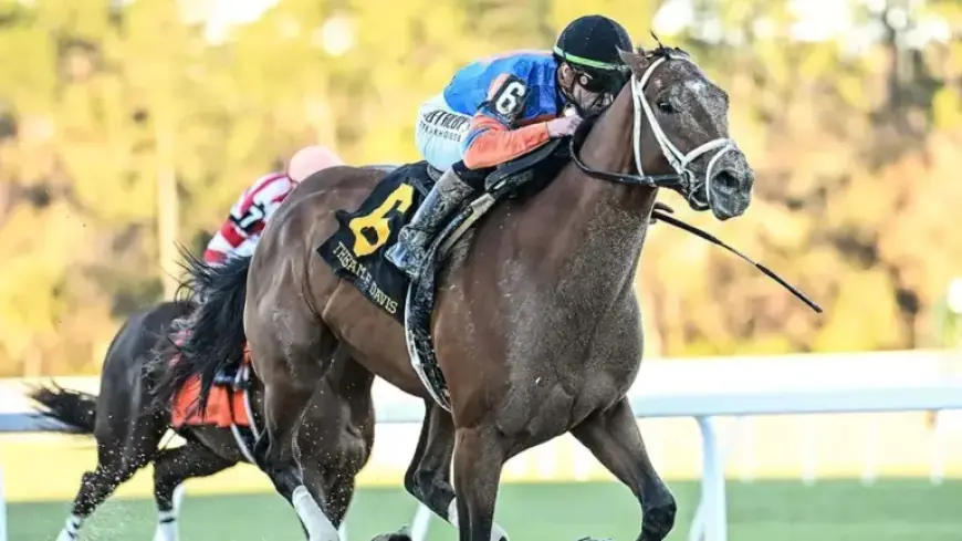 Top 5 Kentucky Derby Contenders Leading Up to 2026 Run for the Roses