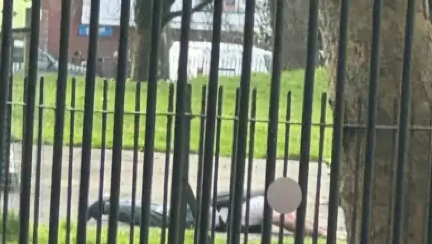 “The Last of Us Online: Director Reveals Cancellation Shocking and Nearly Complete”