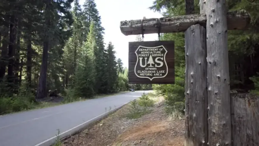 U.S. Forest Service Closes Michigan Research Facilities