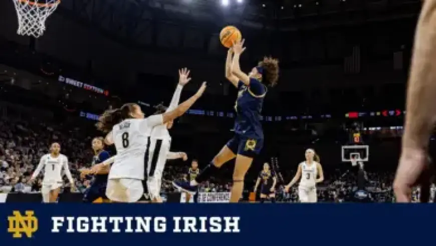 Projected Lineups for Bruins vs. Panthers Matchup