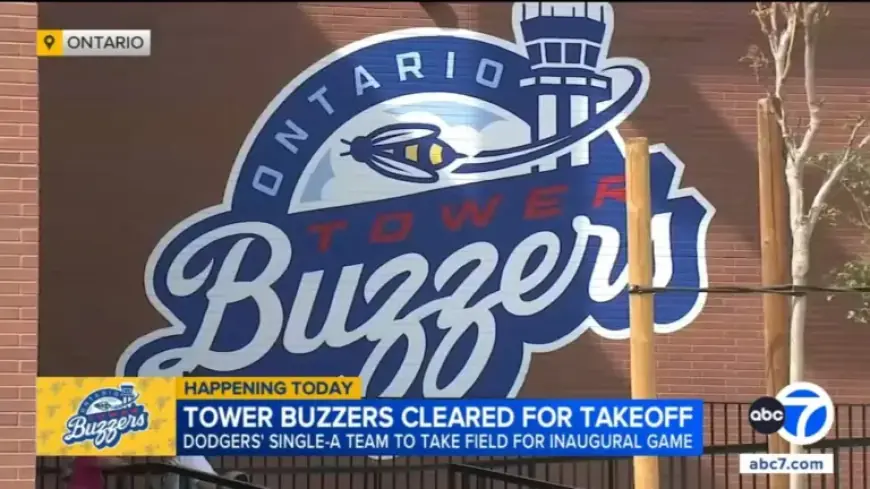 Ontario Tower Buzzers Set for Grand Debut at ONT Field
