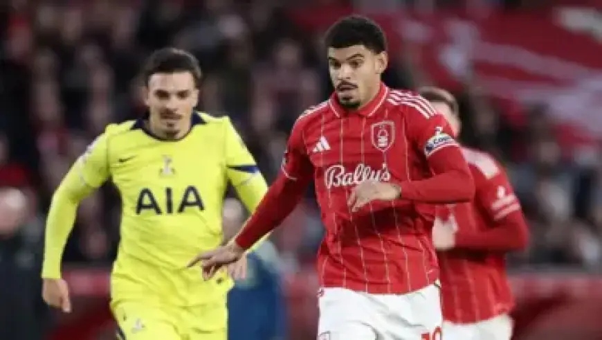 North Skipper Confident in Darling’s Impact on Return