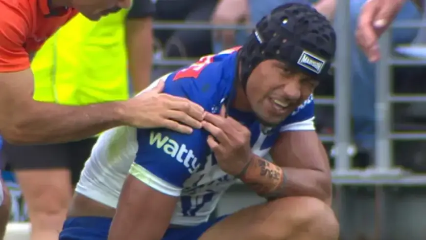 Ciraldo’s Surprising Call Raises Eyebrows with Confounding Dogs Decision