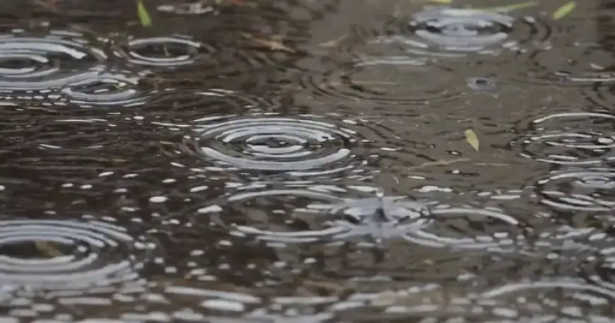 Today’s Weather: Intermittent Rain Predicted