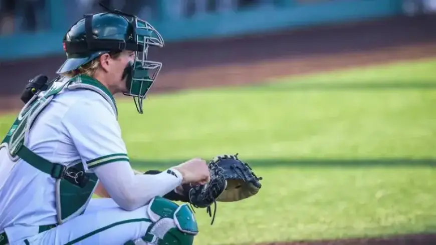 Memphis Arrives in South Florida for Third Baseball Conference Series