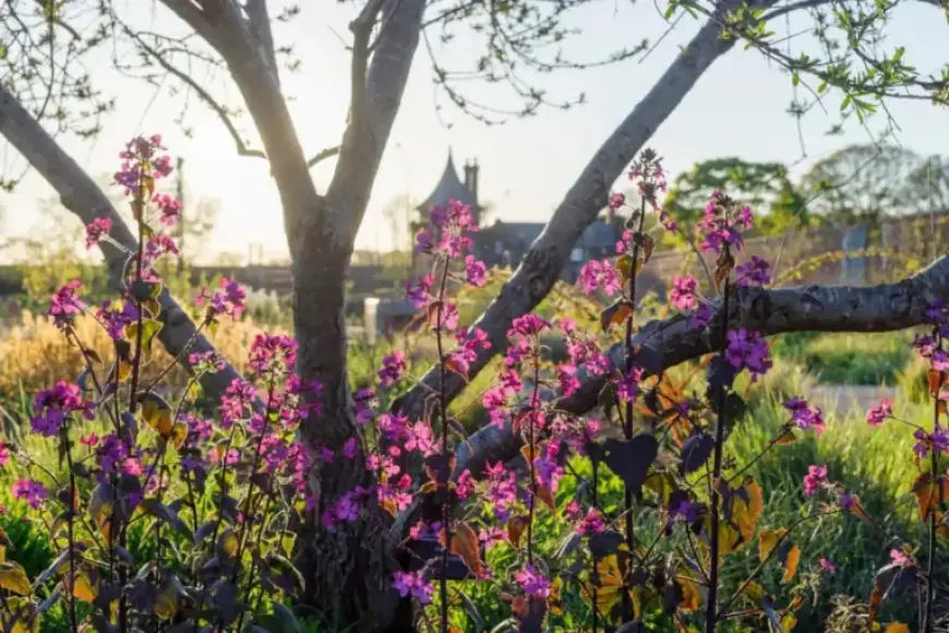 Easter Weekend Events Unveiled in Salford