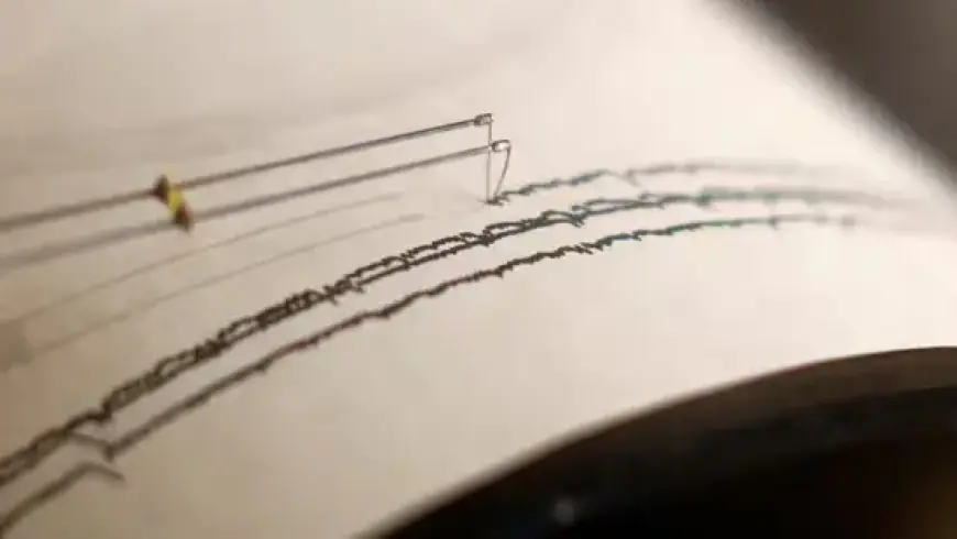 Delhi-NCR Earthquake Shakes Homes, Residents Capture Swaying Fans