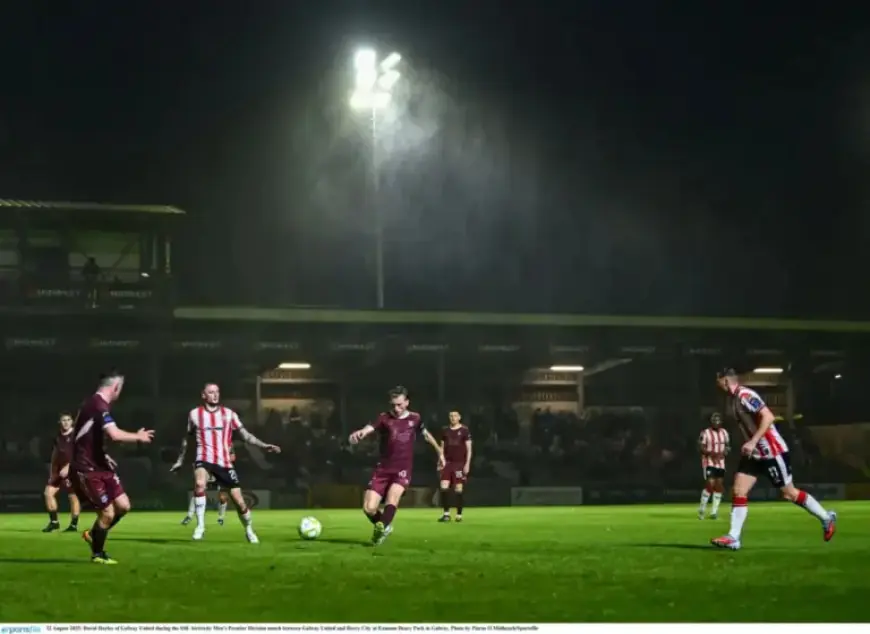 Opposition Perspectives Analyzed