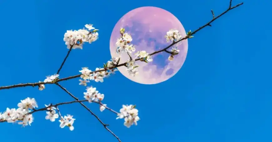 April’s Full Moon in Libra Brings Good Fortune to These 4 Zodiac Signs