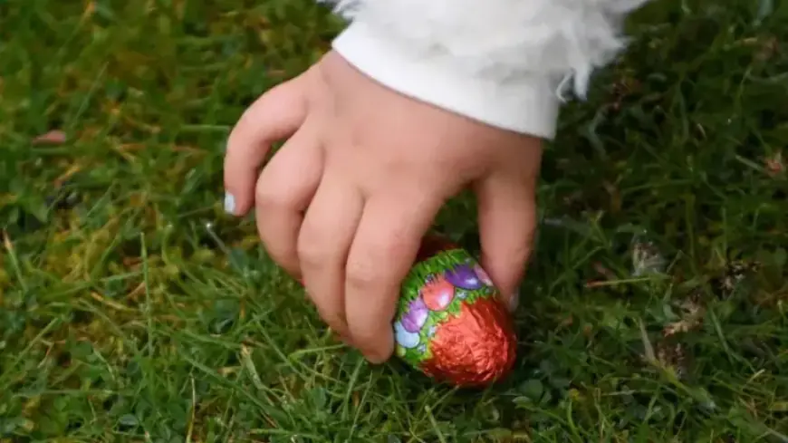 Seattle Easter Weekend: Enjoy Egg Hunts and a Grand Floral Parade