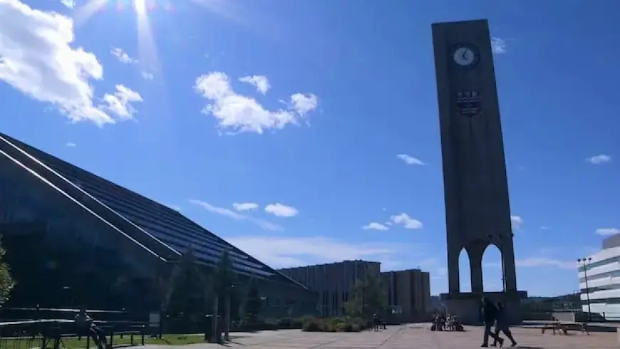 NAPE Warns: MUN Reduces Social Worker Seats Amid Rising N.L. Demand