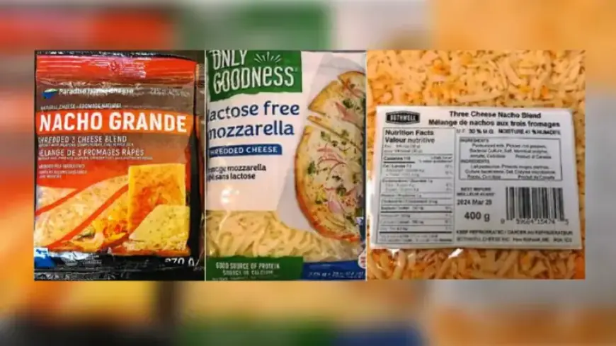 CFIA Recalls Salads, Cheeses, and Meal Kits Due to Listeria Risk