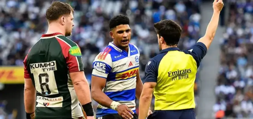 Feinberg-Mngomezulu Benched as Springbok Returns to Stormers Lineup